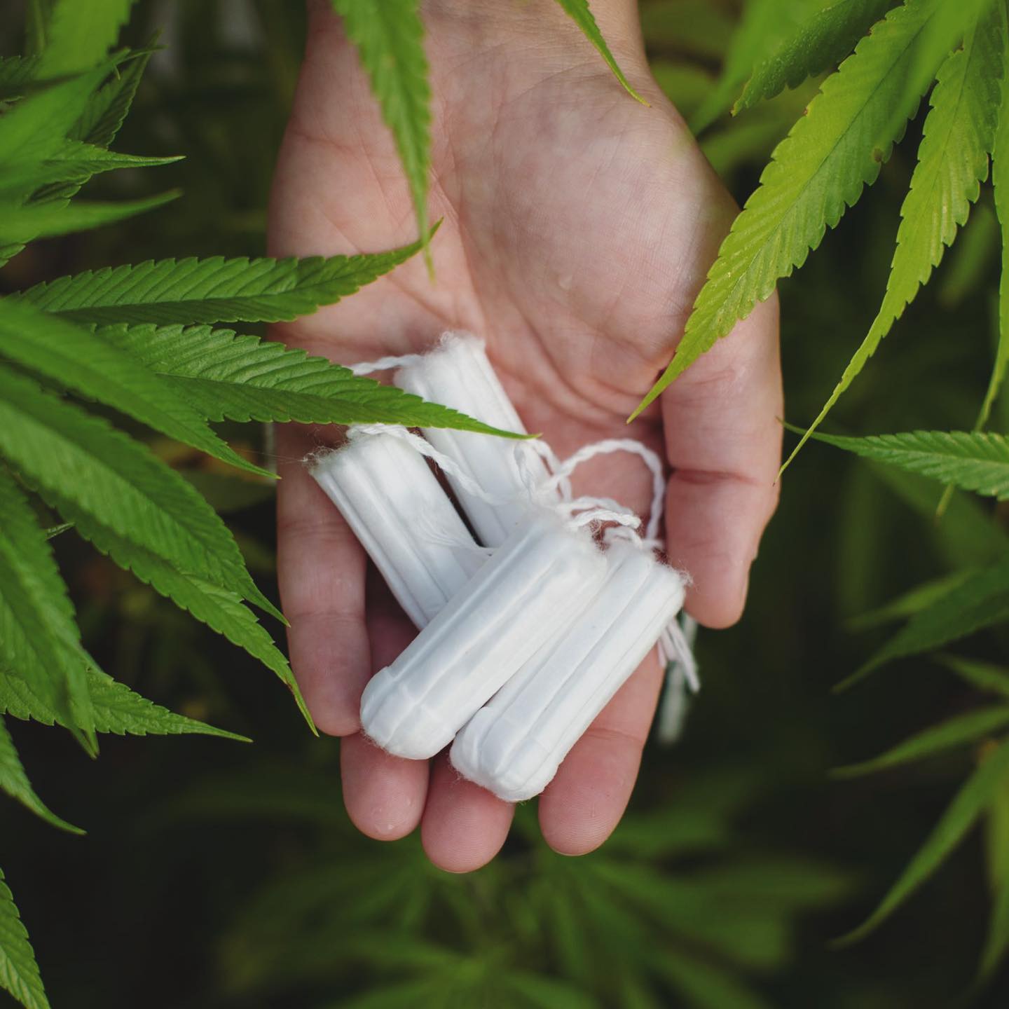 Feminine hygiene industry turns to hemp