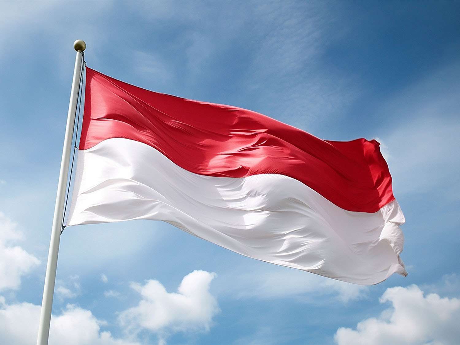 INDONESIA TN