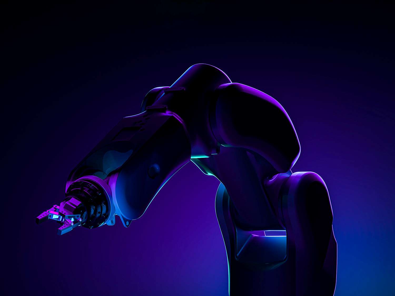 ROBOT TN