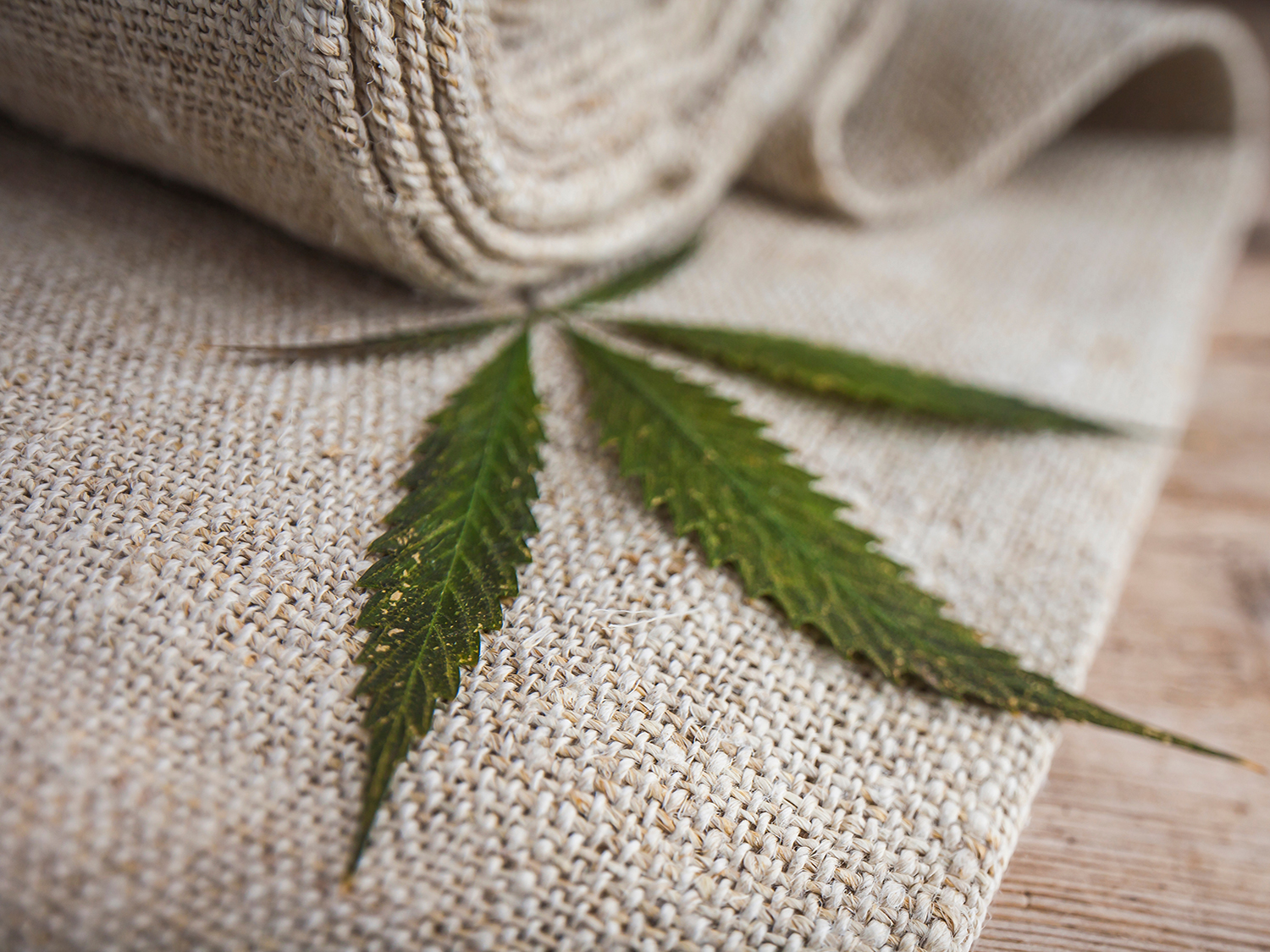 HEMP TN
