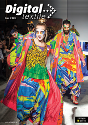 DT Issue 6 2013
